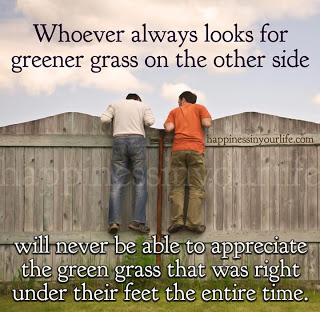 Grass is not Always Greener